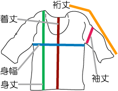 Pronのコットンシャツ　サイズ表記図